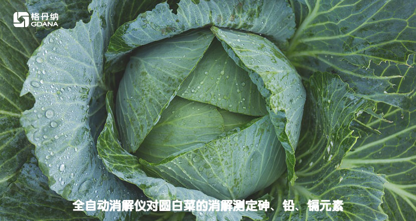 全自动消解仪对圆白菜的消解测定砷、铅、镉元素