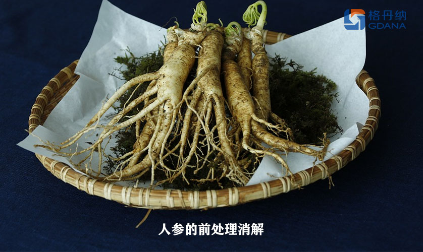 ”传说“珍宝人参的前处理消解-陶瓷加热板