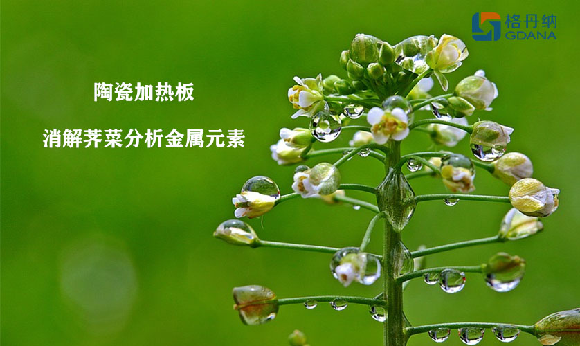 陶瓷加热板消解荠菜分析金属元素的方法
